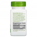 Nature's Way, Feverfew Herb, 380mg, 100 식물성 캡슐