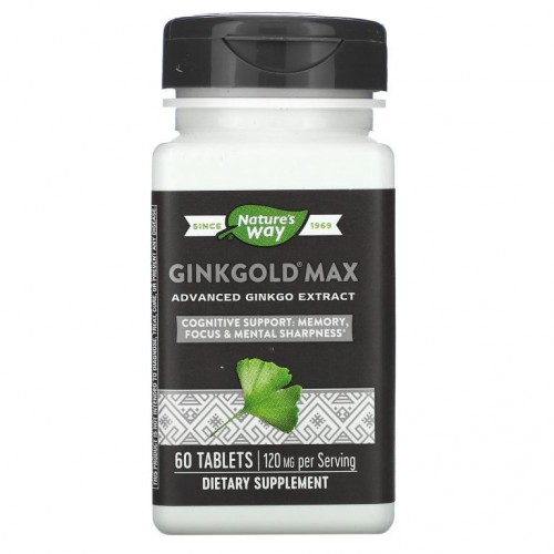 Nature's Way, Ginkgold 맥스, 120mg, 60정