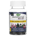 Nature's Way, Sambucus 완화제, 면역력 강화, 엘더베리 + 남아프리카 제라늄, 구미젤리 36개
