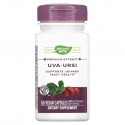 Nature's Way, Uva-Ursi, 666mg, 베지 캡슐 60정