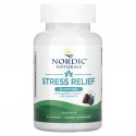 Nordic Naturals, 스트레스 완화 구미젤리, 혼합 베리 맛, 구미젤리 40개