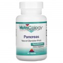 Nutricology, 팬크리어스, 천연 내분비선(돼지), 베지 캡슐 60정