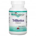 Nutricology, TriBiotics, 베지 캡슐 90정