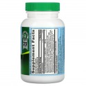 Nutrition Now, PB 8 프로바이오틱, 베지 캡슐 120정