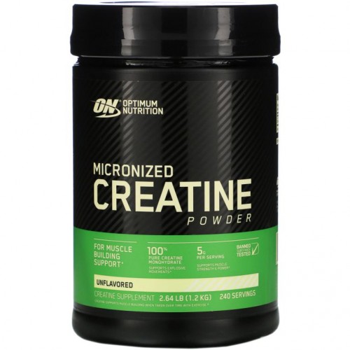 Optimum Nutrition, 미분화 크레아틴 분말, 무맛, 1.2kg(2.64lb)