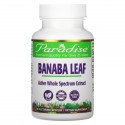 Paradise Herbs, 바나바 잎, 베지 캡슐 60정