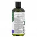 Petal Fresh, 부스스함 방지 샴푸, 라벤더, 475ml(16fl oz)