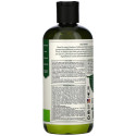 Petal Fresh, 모이스처라이징 샴푸, 포도씨 & 올리브오일, 475ml(16fl oz)