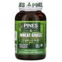 Pines International, 밀싹, 500mg, 250정