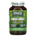 Pines International, 밀싹, 500mg, 500정