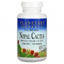 Planetary Herbals, 풀 스펙트럼 노팔 선인장, 1,000mg, 120정