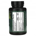 PlantFusion, Vegan Black Elderberry, 575 mg, 60 Vegan Capsules