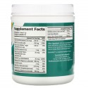 Pure Essence, Ionic-Fizz Magnesium Plus, 오렌지 바닐라, 342g(12.06oz)