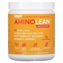 RSP Nutrition, AminoLean, Recovery, Blood Orange, 8.91 oz (253 g)
