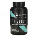 Sierra Fit, 트리뷸러스, 표준화 추출물, 500mg, 베지 캡슐 90정