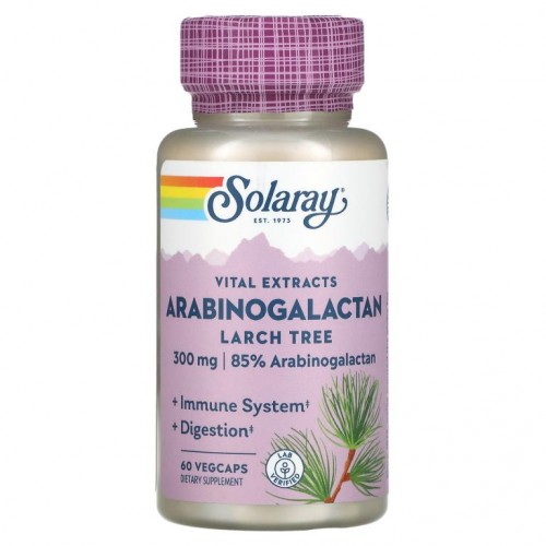 Solaray, 아라비노갈락탄, 낙엽송 추출물, 300mg, 베지 캡슐 60정