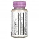 Solaray, 밀크 씨슬 씨드 엑스츄렉트, 원 데일리, 350 mg, 60 베지캡