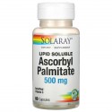 Solaray, 아스코빌팔미테이트, 지용성, 500mg, 캡슐 60정