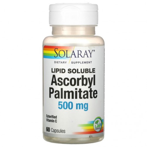 Solaray, 아스코빌팔미테이트, 지용성, 500mg, 캡슐 60정