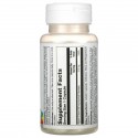 Solaray, 아스코빌팔미테이트, 지용성, 500mg, 캡슐 60정
