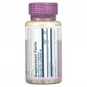 Solaray, 아티초크잎 추출물, 300mg, 베지 캡슐 60개