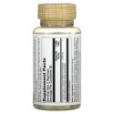 Solaray, 발효 동충하초, 500mg, 베지 캡슐 60정