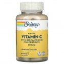 Solaray, 바이오플라보노이드 중화 비타민 C 농축물, 500mg, 베지 캡슐 100정