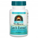 Source Naturals, 웰니스, 낙엽송 추출물(Larch Extract), 60 정