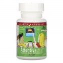 Source Naturals, Attentive Child, 60정