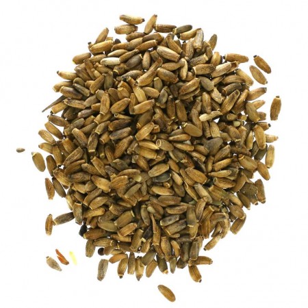 Starwest Botanicals, 밀크씨슬 씨앗 전체, 유기농, 453.6g(1lb)