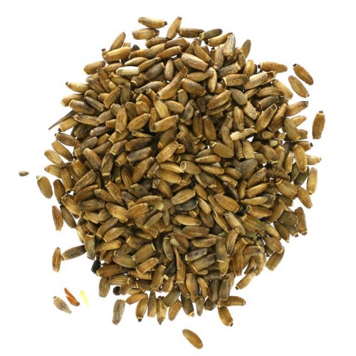 Starwest Botanicals, 밀크씨슬 씨앗 전체, 유기농, 453.6g(1lb)