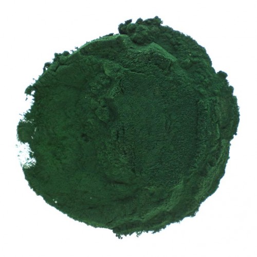 Starwest Botanicals, 유기농 스피룰리나 분말, 453.6g(1lb)