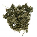 Starwest Botanicals, 유기농 라즈베리 잎 C/S, 유기농, 453.6g(1lb)