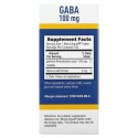 Superior Source, GABA, 100mg, 즉시 용해되는 MicroLingual 100정