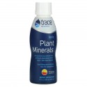 Trace Minerals ®, 이온성 식물 미네랄, 귤 맛, 503ml(17fl oz)