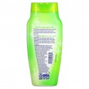 Vagisil, 건강한 디톡스, 올오버 워시, 354ml(12fl oz)