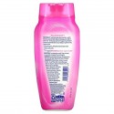 Vagisil, Odor Block, 데일리 인티메이트 워시, 354ml(12fl oz)