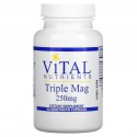 Vital Nutrients, 트리플 마그네슘, 250mg, 베지 캡슐 90정