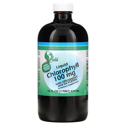 World Organic, 액상 엽록소, 스피어민트 및 글리세린 함유, 100mg, 474ml(16fl oz)