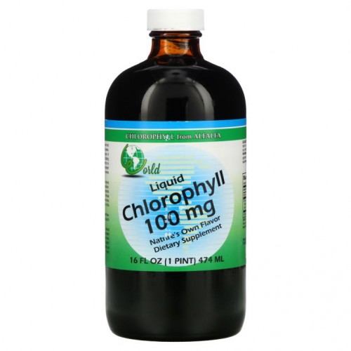 World Organic, 액상 엽록소, 100 ㎎, 16 fl oz(474 ㎖)