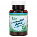 World Organic, 엽록소, 60 mg, 100 캡슐