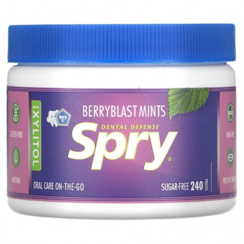 Xlear, Spry, 베리블라스트 민트, 무설탕, 240개입(144g)