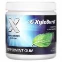 Xyloburst, 자이리톨 츄잉 검, 페퍼먼트, 5.29 oz (150 g), 100 피스