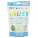 YumEarth, 유기농 하드 캔디, 야생 페퍼민트, 93.6g(3.3oz)